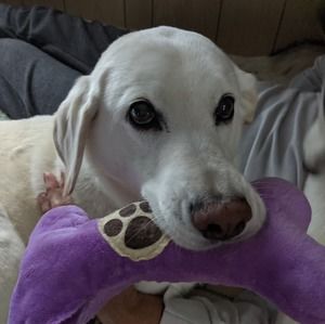 Meet your Posher, Carolyn